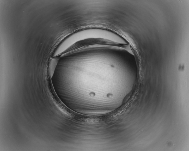 X0000098230105200805151350