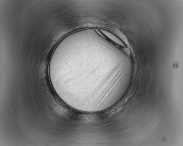 X0000098230106200805151350