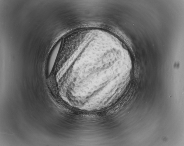 X0000098230107200805151350