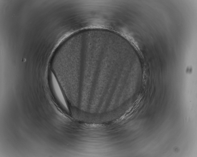 X0000098230108200805151350