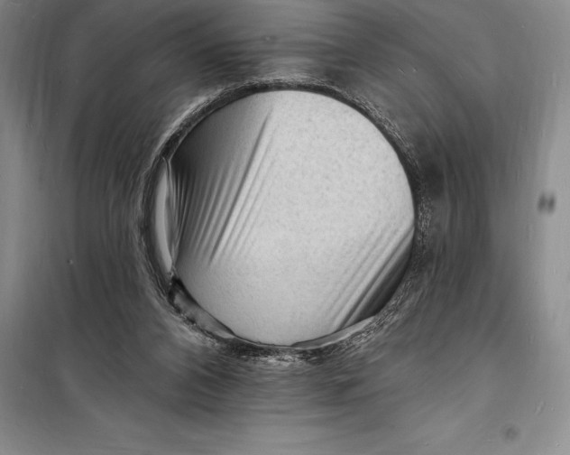 X0000098230112200805151350