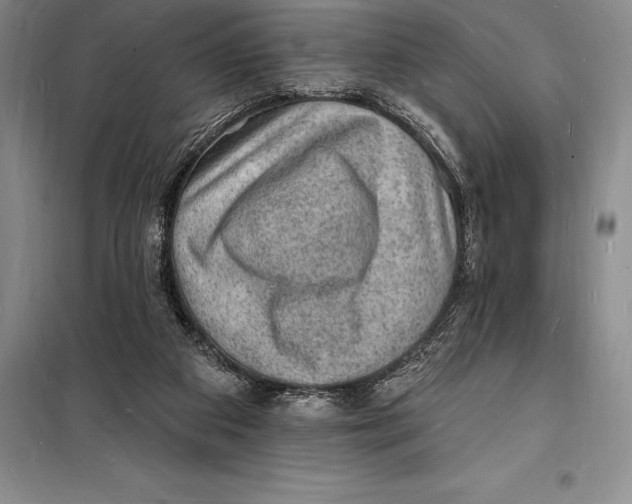 X0000098230113200805151350