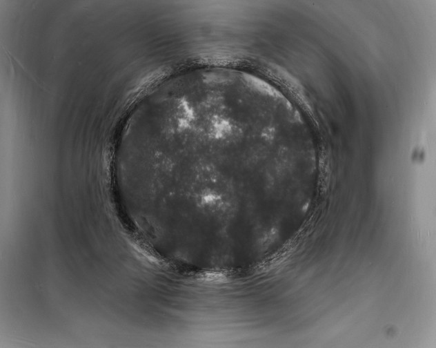 X0000098230114200805151350