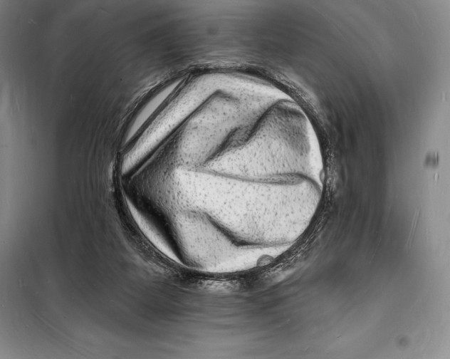 X0000098230115200805151350