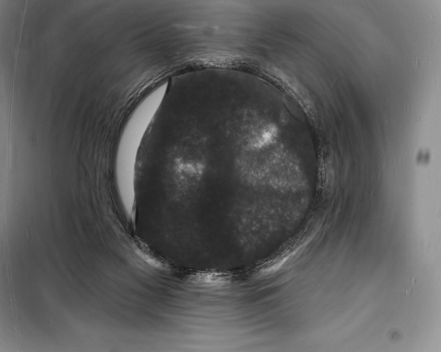 X0000098230117200805151350