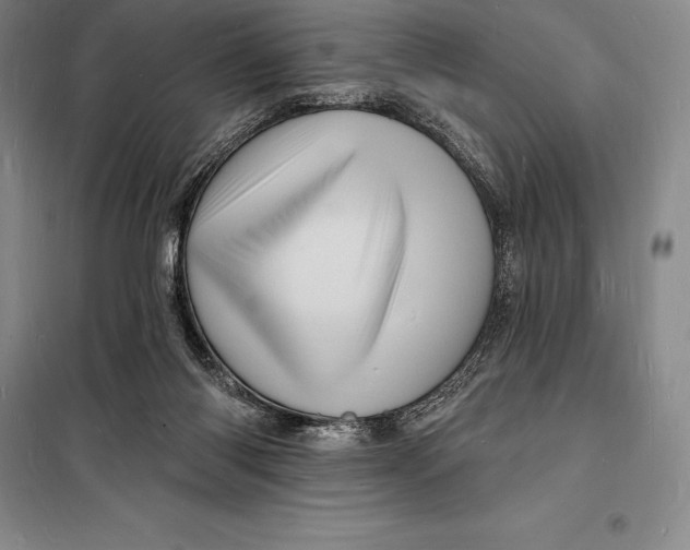 X0000098230118200805151350