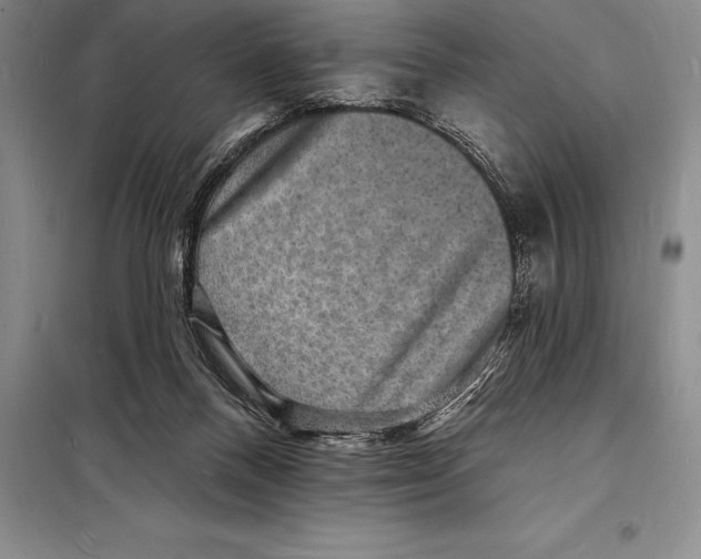 X0000098230120200805151350