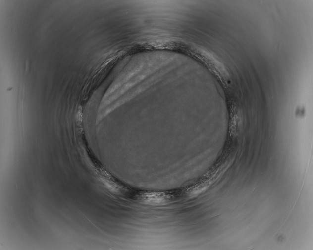 X0000098230121200805151350