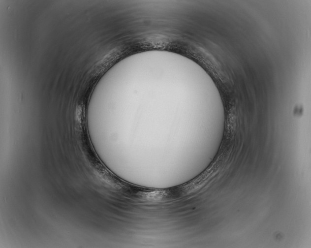 X0000098230122200805151350