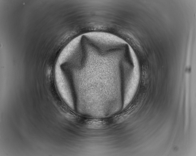 X0000098230123200805151350