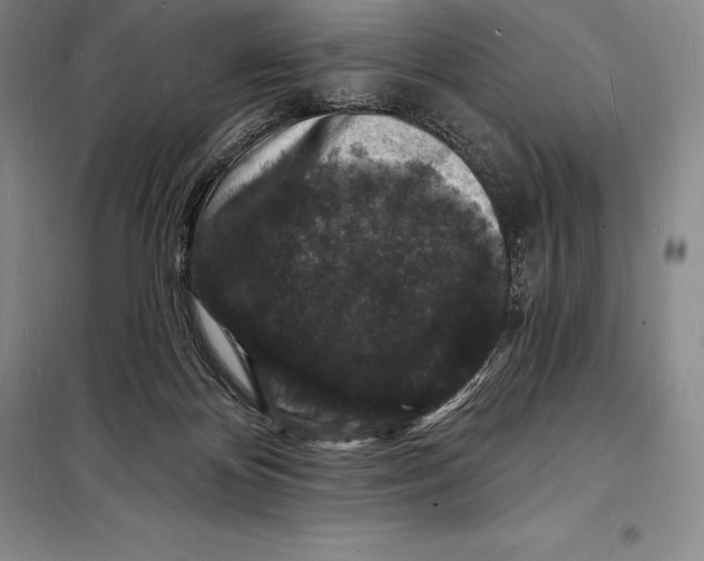 X0000098230124200805151350