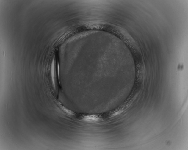 X0000098230125200805151350