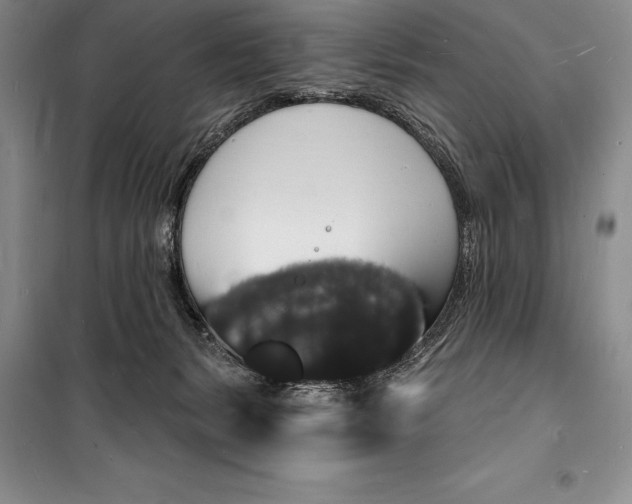 X0000098230127200805151350