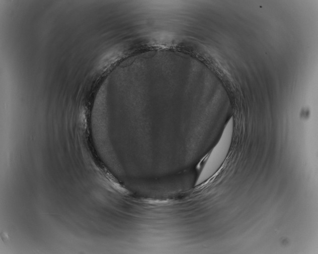 X0000098230128200805151350