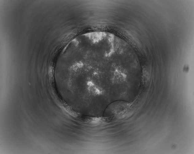 X0000098230130200805151350