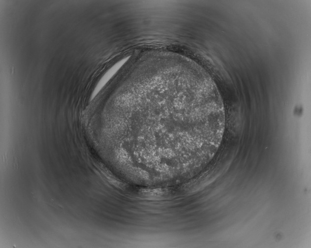 X0000098230131200805151350