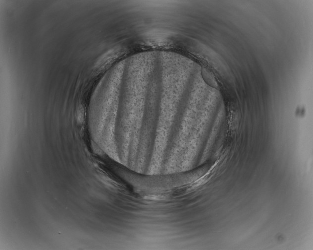 X0000098230132200805151350