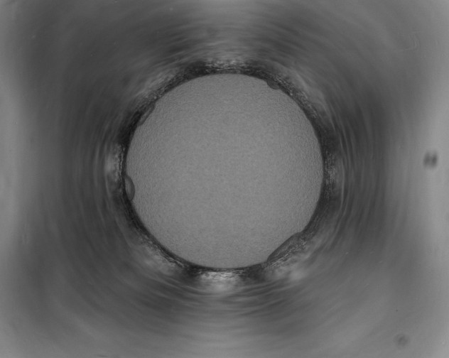 X0000098230133200805151350