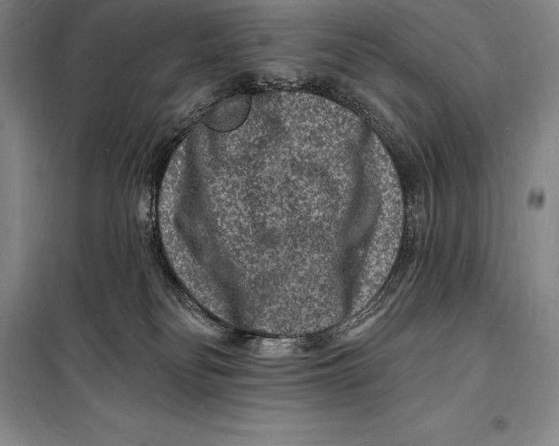 X0000098230134200805151350