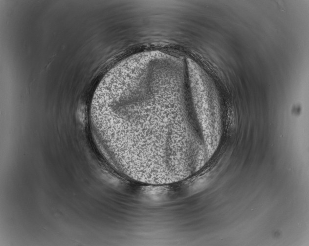 X0000098230135200805151350