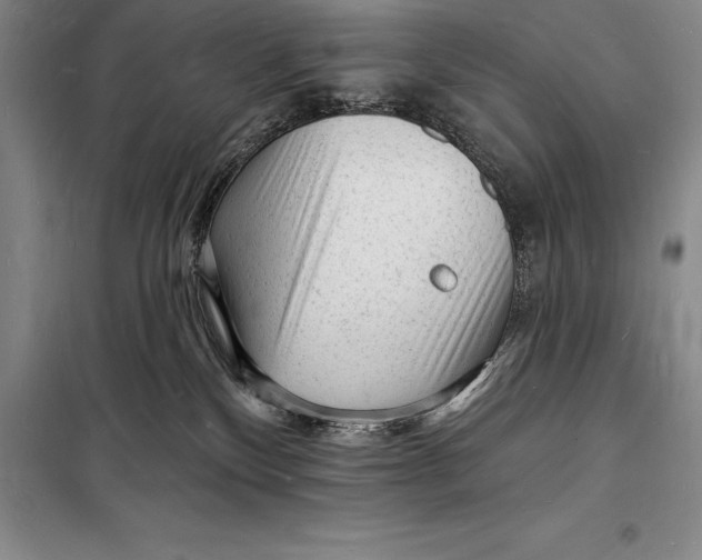 X0000098230136200805151350