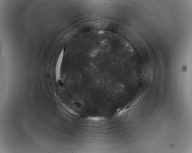 X0000098230137200805151350