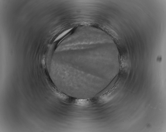 X0000098230141200805151350