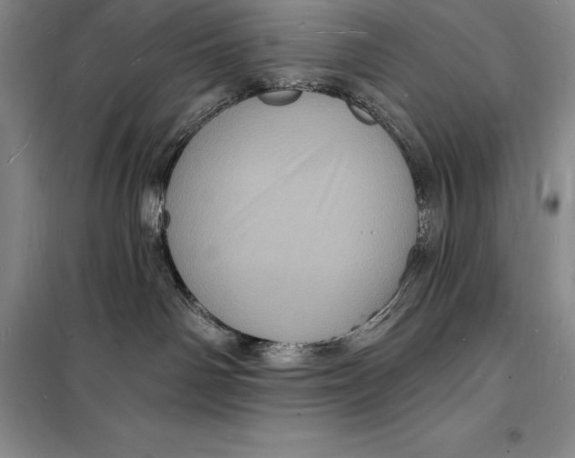 X0000098230142200805151350