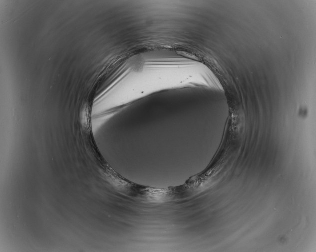 X0000098230143200805151350