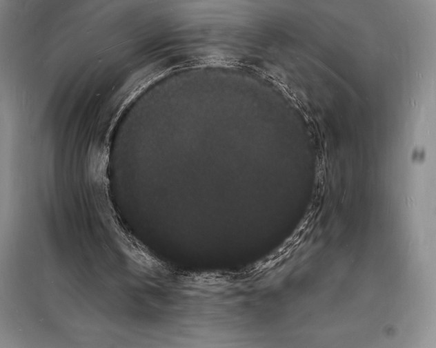 X0000098230146200805151349