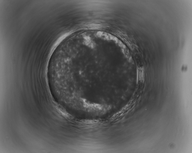 X0000098230147200805151349