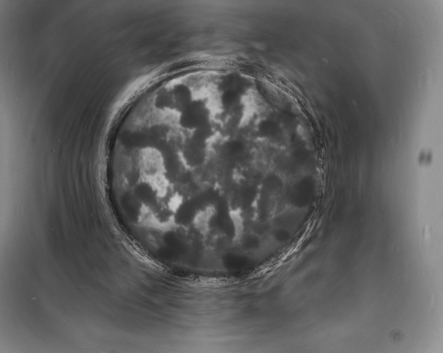 X0000098230149200805151349