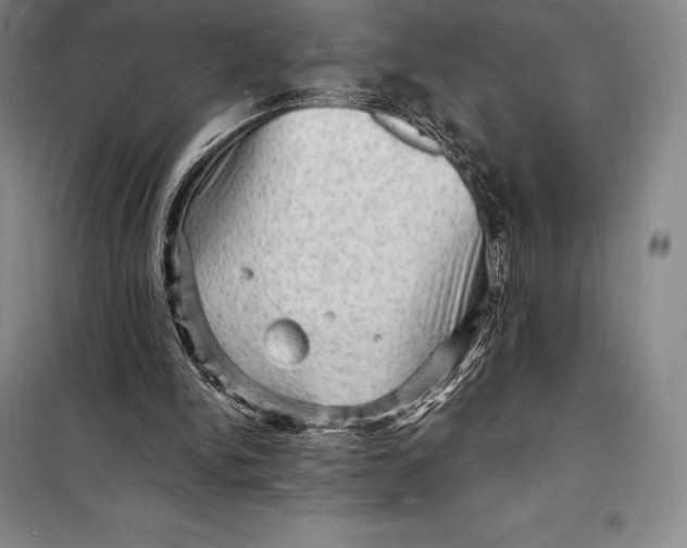 X0000098230150200805151349