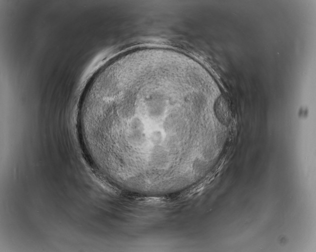 X0000098230151200805151349