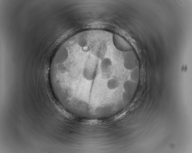 X0000098230153200805151349