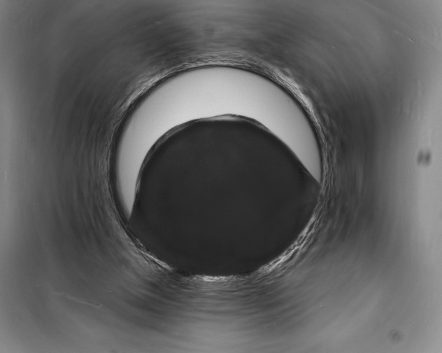 X0000098230154200805151349