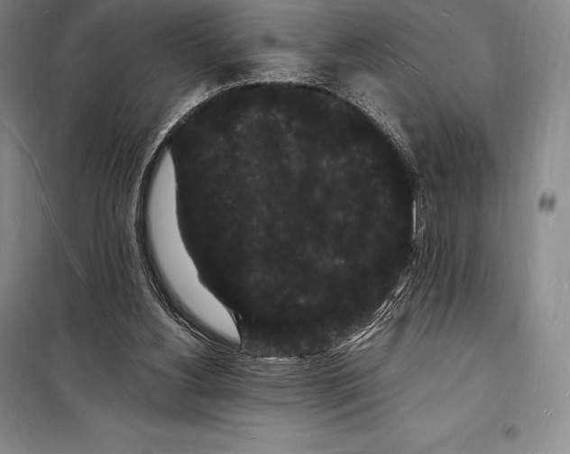 X0000098230156200805151349