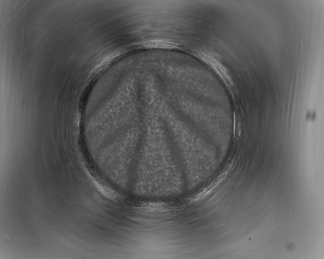 X0000098230157200805151349