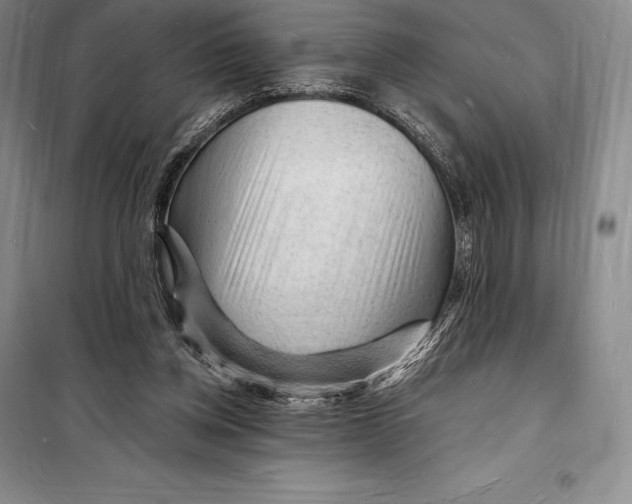 X0000098230158200805151349