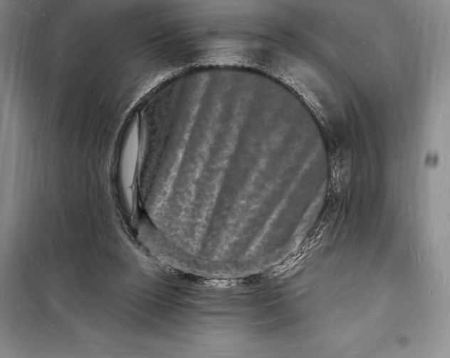 X0000098230160200805151349