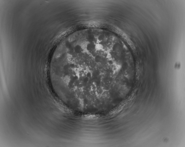 X0000098230161200805151349