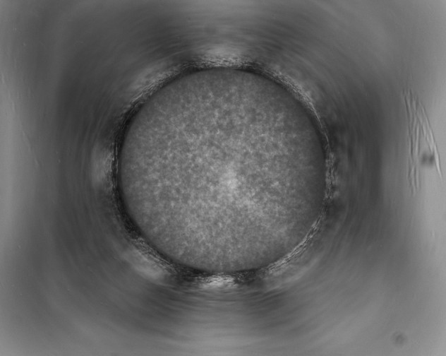 X0000098230162200805151349