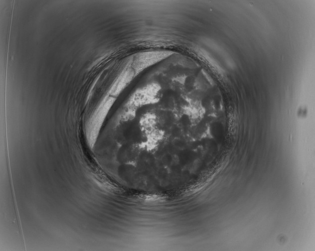 X0000098230165200805151349