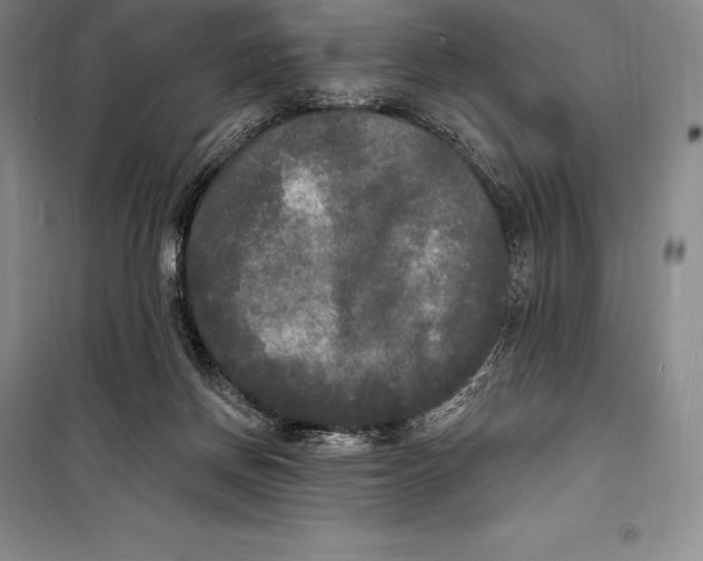 X0000098230166200805151349