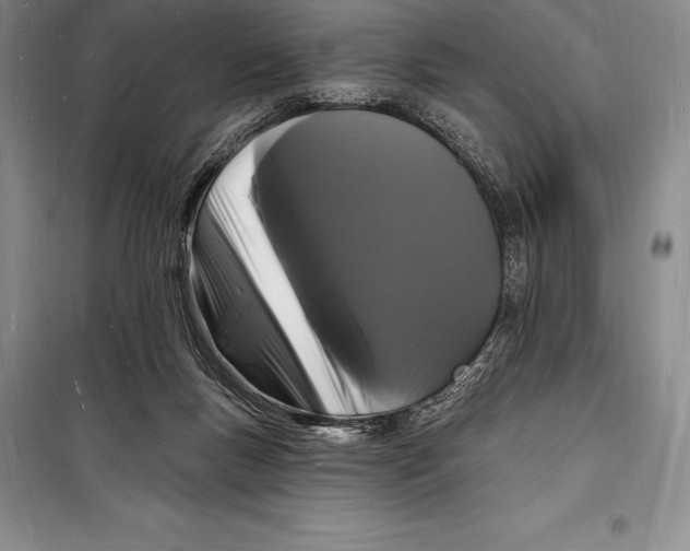 X0000098230167200805151349