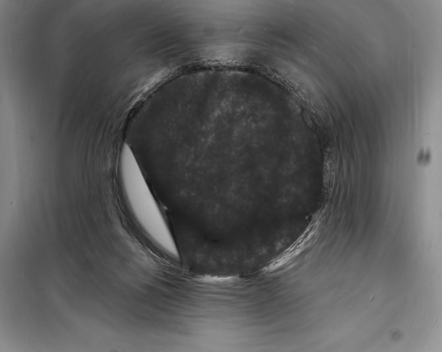 X0000098230168200805151349