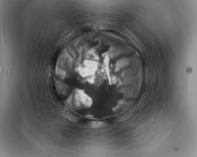 X0000098230169200805151349