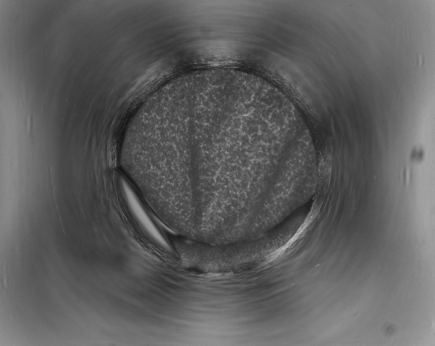 X0000098230170200805151349