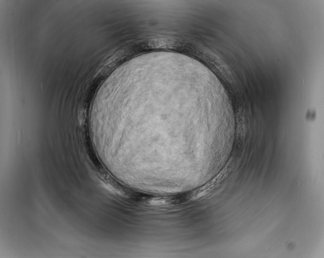 X0000098230171200805151349