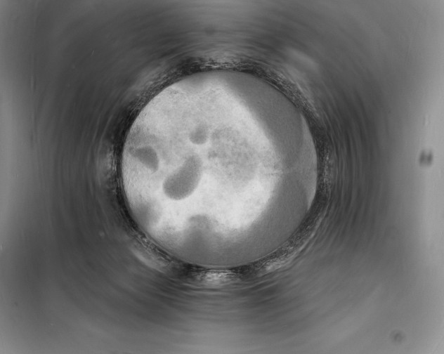 X0000098230173200805151349